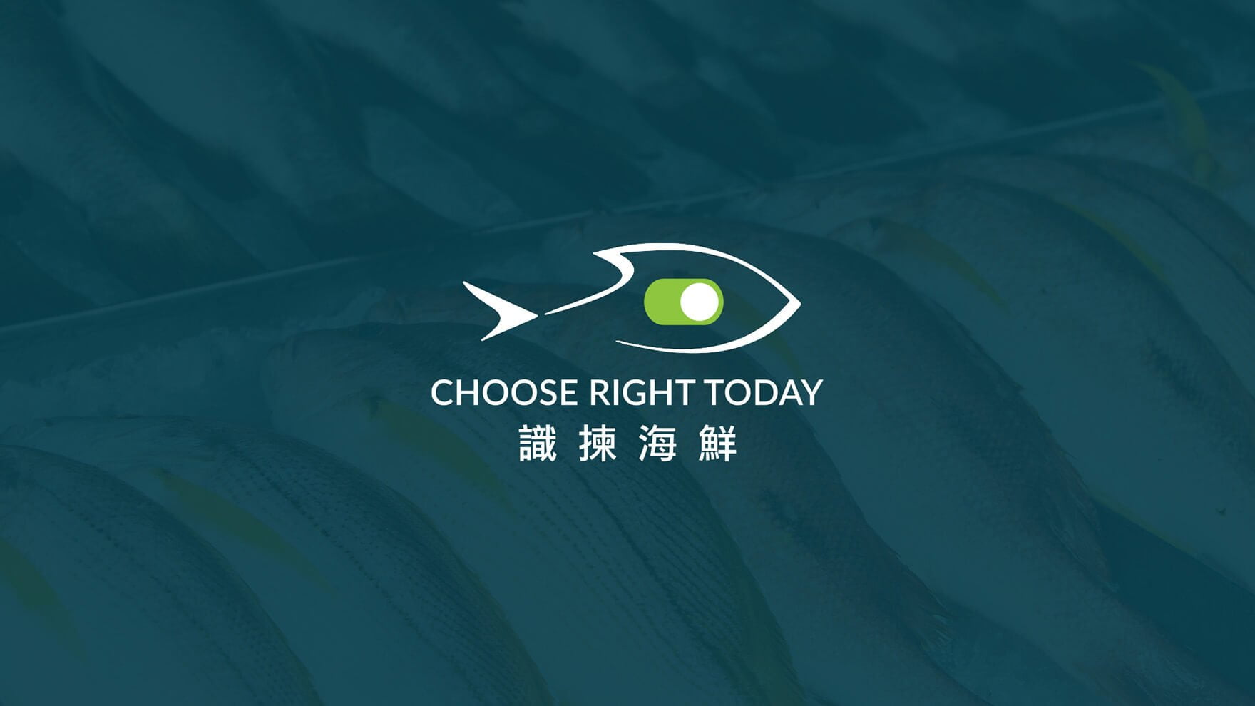 Branding Agency Hong Kong_ChooseRightToday_NGO branding_CheddarMedia_1_1760