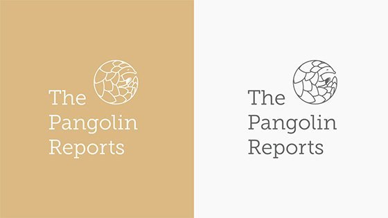Branding Agency Hong Kong_Corporate Identity Design_Pangolin Reports_CheddarMedia_560x315-2