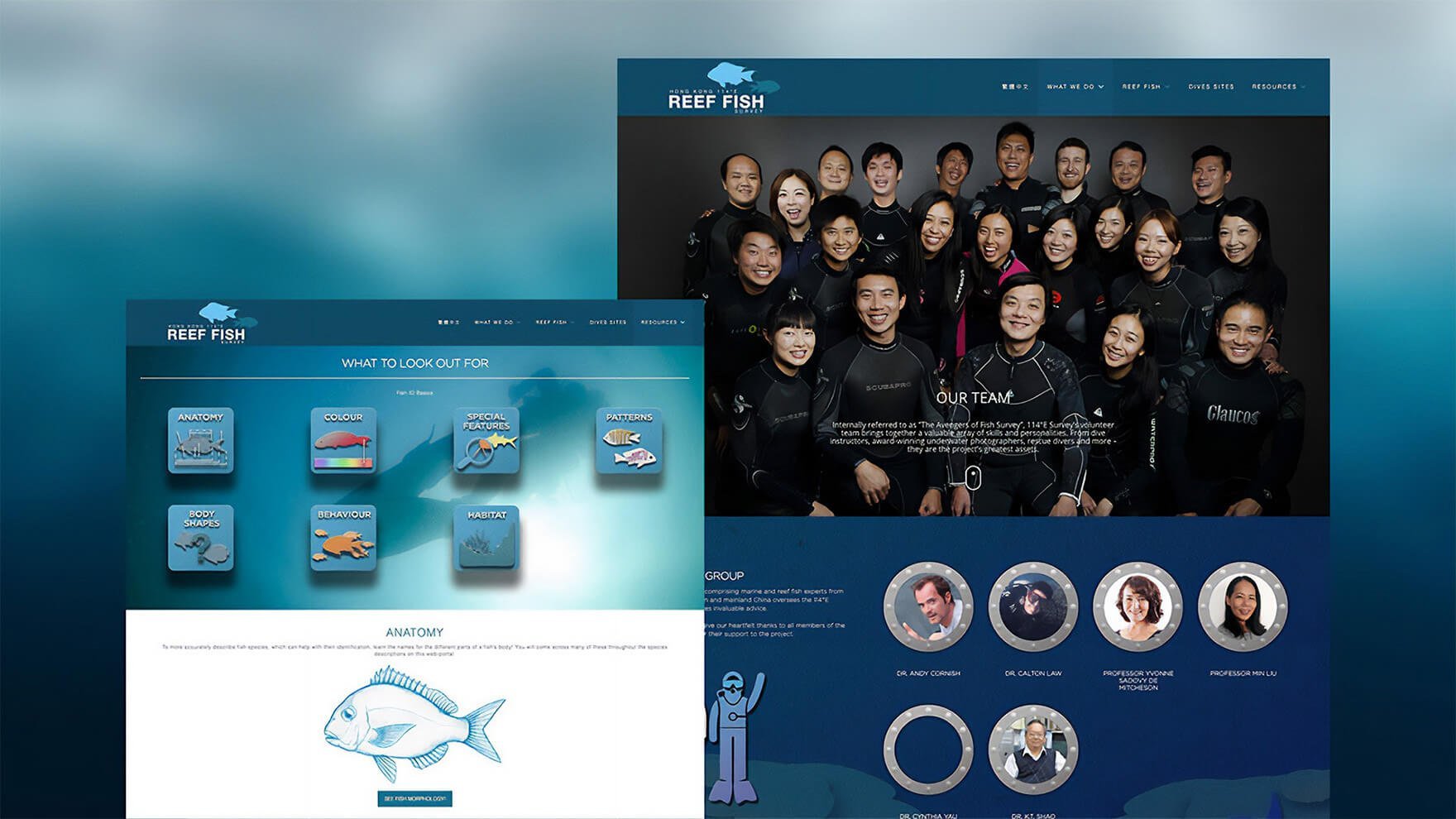Website Design HK_HK 114e Reef Fish_Responsive Website_CheddarMedia_5_1760
