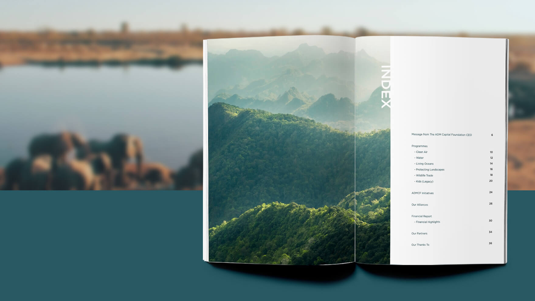Branding Agency Hong Kong_ADMCF_Annual Report Design 2019__CheddarMedia_2_1760