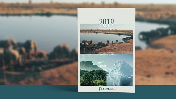 Annual report design 2019