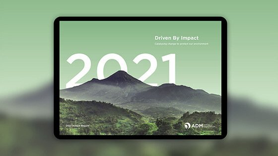 Annual report design 2021
