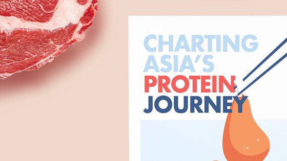 Protein research report design