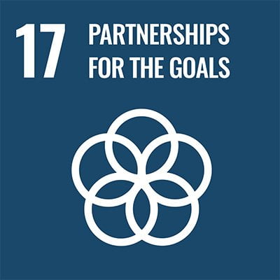 SDG 17 Partnerships for the goal